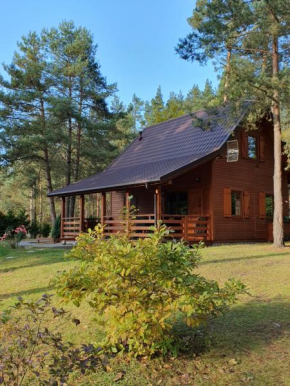 Za Jeziorem - Domek w Borach Tucholskich in Osieki